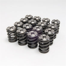 Laden Sie das Bild in den Galerie-Viewer, Skunk2 Alpha Series Honda/Acura B Series Valve Spring and Titanium Retainer Kit