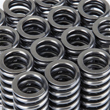गैलरी व्यूवर में इमेज लोड करें, Skunk2 Alpha Series Honda D Series VTEC Valve Spring Set