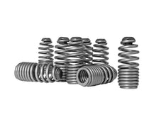 Laden Sie das Bild in den Galerie-Viewer, Skunk2 Honda/Acura VTEC B Series Spring Type Lost Motion Assembly Kit