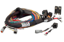 गैलरी व्यूवर में इमेज लोड करें, Haltech Elite Race Expansion Module 16 Sequential Injector Upgrade 8ft Universal Wire-In Harness