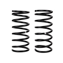 Carica l&#39;immagine nel visualizzatore di Gallery, ARB / OME Coil Spring Rear Terracanr