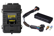 Load image into Gallery viewer, Haltech Mitsubishi EVO 4-8 (5 Speed) Elite 1000 Plug-n-Play Adaptor Harness ECU Kit
