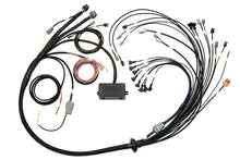 Carica l&#39;immagine nel visualizzatore di Gallery, Haltech V8 Big/Small Block GM/Ford/Chrysler Elite 2000/2500 Terminated Harness w/EV1 Inj Connectors