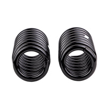 Carica l&#39;immagine nel visualizzatore di Gallery, ARB / OME Coil Spring Front Vitara 4 Lwb