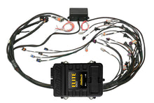 Cargar imagen en el visor de la galería, Haltech GM GEN III LS1/LS6 (Non DBW) Elite 2500 Terminated Harness ECU Kit w/EV1 Injector Connectors