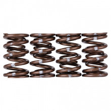 गैलरी व्यूवर में इमेज लोड करें, Skunk2 Pro Series Honda/Acura B-Series VTEC XP Valve Spring Set (Dual Springs)