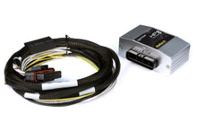 Cargar imagen en el visor de la galería, Haltech HPI8 High Power Igniter 8 Channel 2m Flying Lead Kit