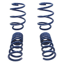 Laden Sie das Bild in den Galerie-Viewer, Ford Racing 2015-2017 Mustang GT350 Lowering Springs