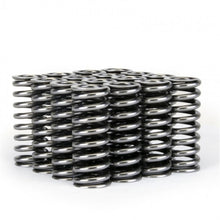 गैलरी व्यूवर में इमेज लोड करें, Skunk2 Alpha Series Honda D Series VTEC Valve Spring Set