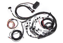 Cargar imagen en el visor de la galería, Haltech Ford Falcon BA/BF Barra 4.0 Elite 2500 Terminated Harness w/EV1 Injector Connectors