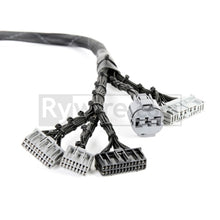 Carica l&#39;immagine nel visualizzatore di Gallery, Rywire Honda B/D-Series OBD1 Tucked Budget Engine Harness