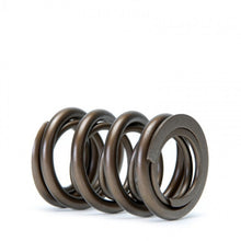 Laden Sie das Bild in den Galerie-Viewer, Skunk2 Tuner Series Honda/Acura (B16A/ B17A/ B18C) DOHC VTEC Alpha Valve Spring Set (Dual Springs)