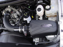 गैलरी व्यूवर में इमेज लोड करें, Volant 03-04 Ford Expedition 5.4 V8 Pro5 Closed Box Air Intake System