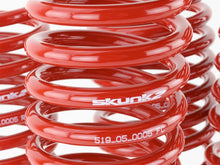Carica l'immagine nel visualizzatore di Gallery, Skunk2 94-01 Acura Integra Lowering Springs (2.50in - 2.25in.) (Set of 4)