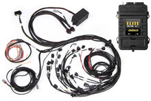 गैलरी व्यूवर में इमेज लोड करें, Haltech Ford Falcon FG Barra 4.0 Elite 2500 T Terminated Harness ECU Kit w/OE EV1 Inj Connectors