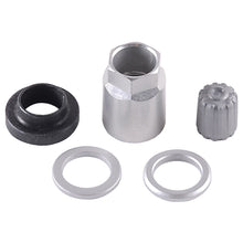Cargar imagen en el visor de la galería, Schrader TPMS Service Pack - Beru Stems (No Valve) - 25 Pack