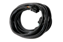 गैलरी व्यूवर में इमेज लोड करें, Haltech CAN Cable 8 Pin Black Tyco to 8 Pin Black Tyco 1200mm (48in)