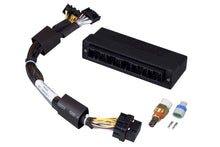 Carica l&#39;immagine nel visualizzatore di Gallery, Haltech Mazda Miata NA 1.6/1.8 w/2 Plug 2 Row ECU Elite 750 Plug-n-Play Adaptor Harness