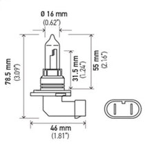 गैलरी व्यूवर में इमेज लोड करें, Hella Bulb 9005 12V 65W P20D T4 +50 (2)
