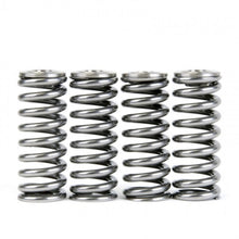 गैलरी व्यूवर में इमेज लोड करें, Skunk2 Alpha Series Honda/Acura D Series Valve Spring and Titanium Retainer Kit
