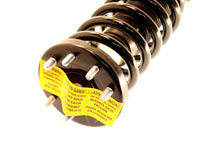 Cargar imagen en el visor de la galería, KYB Shocks &amp; Struts Strut Plus Front Right Honda Accord 2008-2012