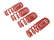 Carica l'immagine nel visualizzatore di Gallery, Skunk2 94-01 Acura Integra Lowering Springs (2.50in - 2.25in.) (Set of 4)