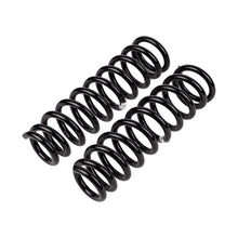 Carica l&#39;immagine nel visualizzatore di Gallery, ARB / OME Coil Spring Front Crv To 02