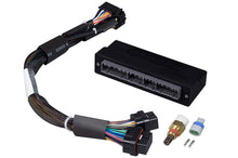 गैलरी व्यूवर में इमेज लोड करें, Haltech 92-95 Honda Civic/Integra (OBD-I B-Series) Elite 1000/1500 Plug-n-Play Adaptor Harness