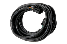 गैलरी व्यूवर में इमेज लोड करें, Haltech CAN Cable 8 Pin Black Tyco to 8 Pin Black Tyco 900mm (36in)