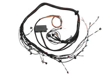 Carica l&#39;immagine nel visualizzatore di Gallery, Haltech Toyota 2JZ Elite 2000/2500 Terminated Engine Harness