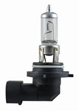 Laden Sie das Bild in den Galerie-Viewer, Hella Bulb 9006 12V 55W P22D T4 +50 (2)