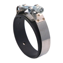 Cargar imagen en el visor de la galería, Spectre T-Bolt Clamp 3in.