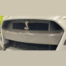 गैलरी व्यूवर में इमेज लोड करें, Ford Racing 20-21 Mustang GT500 Carbon Fiber Bumper Insert