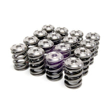Laden Sie das Bild in den Galerie-Viewer, Skunk2 Alpha Series Honda/Acura B Series Valve Spring and Titanium Retainer Kit