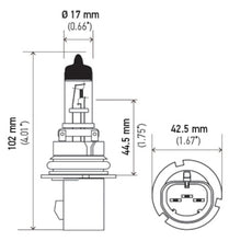 गैलरी व्यूवर में इमेज लोड करें, Hella Bulb 9007 12V 65/55W Px29T T4625 +50(2)