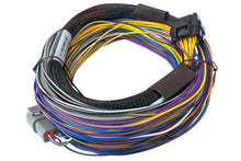 Cargar imagen en el visor de la galería, Haltech Elite 950 8ft Basic Universal Wire-In Harness
