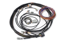 Carica l&#39;immagine nel visualizzatore di Gallery, Haltech Elite VMS &amp; VMS T Semi-Terminated Harness Kit
