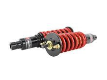 Carica l'immagine nel visualizzatore di Gallery, Skunk2 88-91 Honda Civic/CRX Pro-ST Coilovers (Front 10 kg/mm - Rear 8 kg/mm)