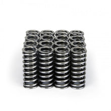 गैलरी व्यूवर में इमेज लोड करें, Skunk2 Alpha Series Honda D Series VTEC Valve Spring Set