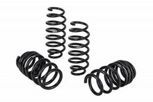 Charger l&#39;image dans la galerie, Eibach Pro-Kit for 17-19 Tesla 3 Long Range
