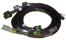 Carica l&#39;immagine nel visualizzatore di Gallery, Haltech Big Block/Small Block Ford V8 8 Channel Individual High Output IGN-1A Inductive Coil Harness