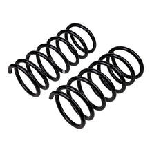 Carica l&#39;immagine nel visualizzatore di Gallery, ARB / OME Coil Spring Rear Terracanr