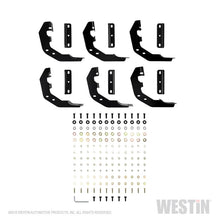 Cargar imagen en el visor de la galería, Westin 19-22 RAM 1500 Quad Cab (Excl. Classic) PRO TRAXX 6 Oval Nerf Step Bars - SS