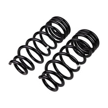 Carica l&#39;immagine nel visualizzatore di Gallery, ARB / OME Coil Spring Rear Everest
