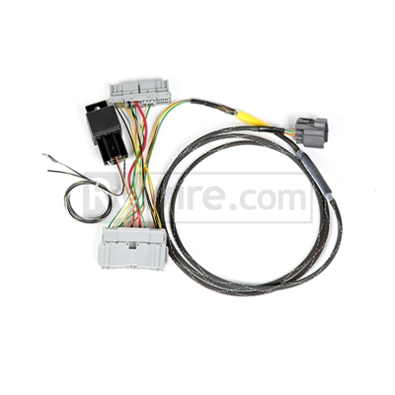 Rywire 01-05 Honda Civic K-Series Conversion Adapter Harness