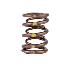गैलरी व्यूवर में इमेज लोड करें, Skunk2 Pro Series Honda/Acura B-Series VTEC XP Valve Spring Set (Dual Springs)