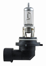Laden Sie das Bild in den Galerie-Viewer, Hella Bulb 9006 12V 55W P22D T4 +50 (2)