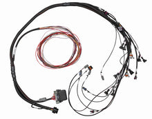 गैलरी व्यूवर में इमेज लोड करें, Haltech GM GEN III LS1 &amp; LS6 (Non DBW) Elite 950 Terminated Harness