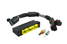 Carica l&#39;immagine nel visualizzatore di Gallery, Haltech Mitsubishi Galant VR4/Eclipse 1G Turbo Elite 1000/1500 Plug-n-Play Adaptor Harness