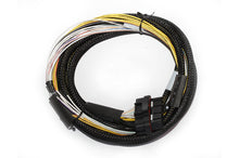 Cargar imagen en el visor de la galería, Haltech HPI6 High Power Igniter 2m Flying Lead Kit (Loom Only)